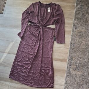 Express Long Sleeve Dress in Rich Plum